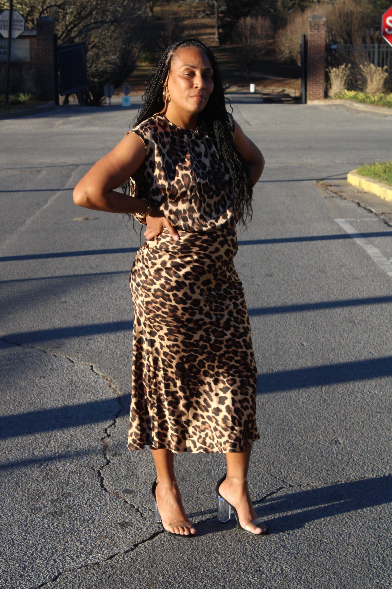 The Leopard Dress